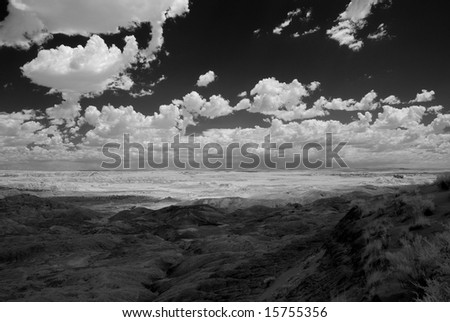 stock photo : Petrified forest