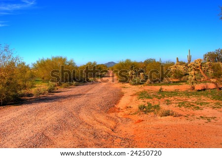 Dirt road leading off with Saguaro cactus
