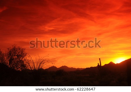 Southwestern Arizona Sunset with saguaro cactus and ocotillo