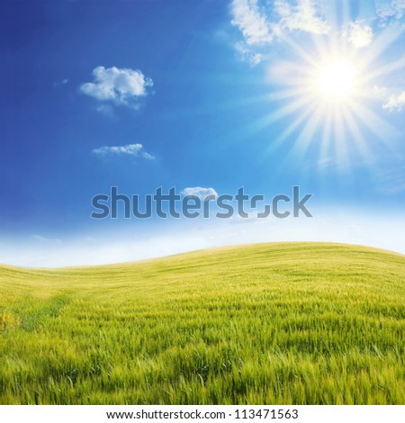 Rural landscape. Bright sun over the green field at summer.