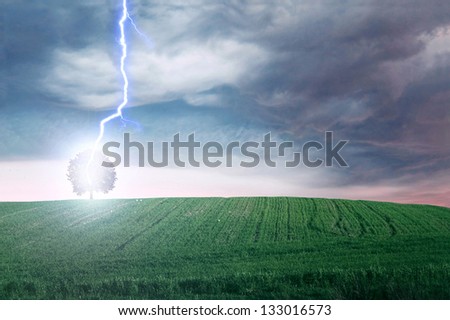 Storm. Lightning hit the tree on green field.