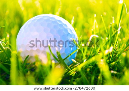 Golf game. Golf balls in grass.