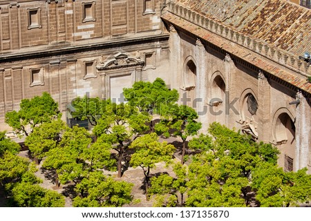 Courtyard of the Orange Trees (Spanish: Patio de los Naranjos) of Seville Cathedral, Spain.