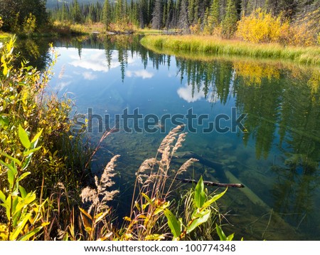Sky reflection on calm clear taiga wetland pond in yellow of fall, Yukon Territory, Canada.