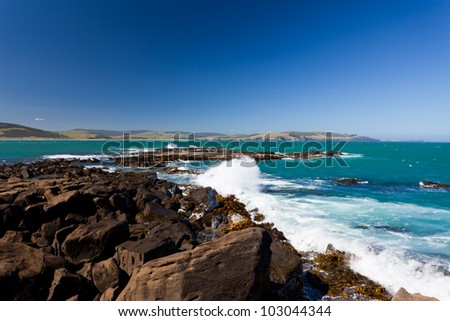 Curio Bay on South Coast of New Zealand South Island