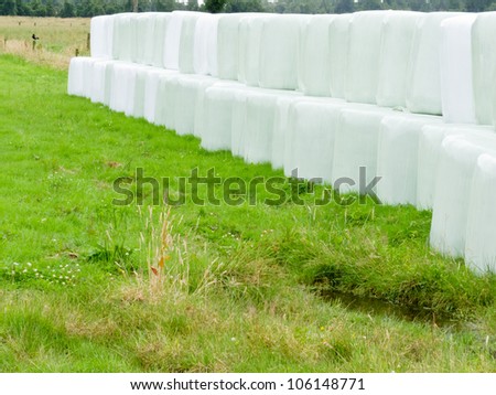 Rows of stacked silage or haylage bales, hay sealed in plastic wrapper left outdoors for fermentation to feed livestock