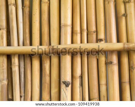Background texture pattern of many parallel dried bamboo stick stalks with one lying across