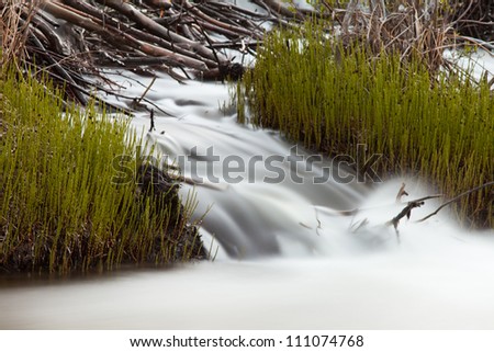 Water of creek cascading over obstructing wood debris of beaver dam forming a small waterfall with silky appearance of long exposure