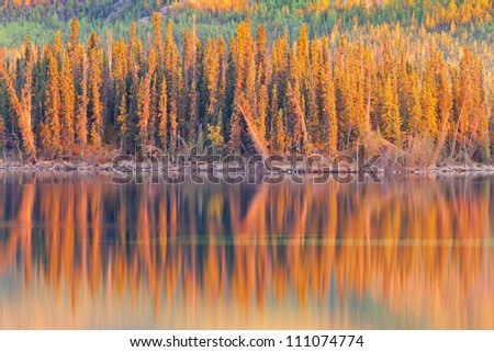 Warm sunset light reflections on calm surface of boreal forest wilderness pond, Twin Lakes, Yukon Territory, Canada