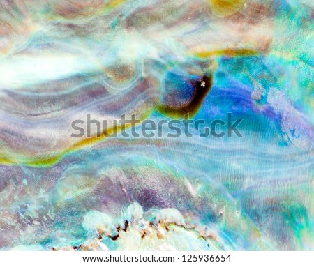 Iridescent nacre mother-of-pearl inner side of Paua, Perlemoen or Abalone shell macro background texture pattern