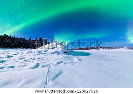 Spectacular Display Of Intense Northern Lights Or Aurora Borealis Or Polar Lights Forming Green Swirls Over Snowy Winter Landscape