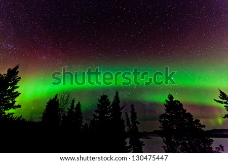 Green glowing display of Northern Lights or Aurora borealis or polar lights in night sky full of stars over taiga forest