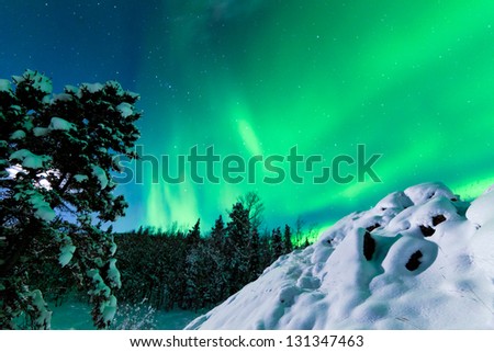 Spectacular display of intense Northern Lights or Aurora borealis or polar lights forming green swirls over snowy boreal forest  taiga of Yukon Territory  Canada winter landscape