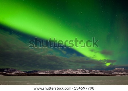 Spectacular display of intense Northern Lights or Aurora borealis or polar lights forming a green band over snowy winter landscape of Lake Laberge  Yukon Territory  Canada