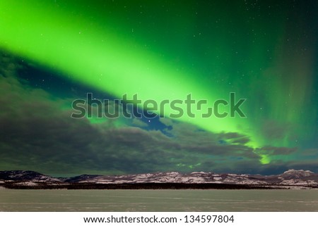 Spectacular display of intense Northern Lights or Aurora borealis or polar lights forming a green band over snowy winter landscape of Lake Laberge  Yukon Territory  Canada