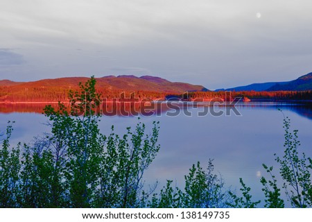 Red glow of evening sun on boreal forest taiga surrounding calm water surface of Lake  Twin Lake near Carmacks  Yukon Territory  Canada