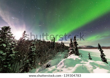 Spectacular display of intense Northern Lights or Aurora borealis or polar lights forming green swirls and moon behind ice fogs over snowy winter taiga landscape of Yukon Territory  Canada