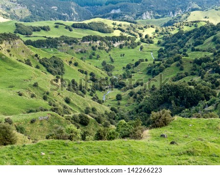 Scenic landscape of rural farmland pasture in hill country of Hawke\'s Bay district on North Island of New Zealand