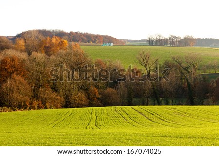 Gently rolling landscape of farmland with ploughed fields  copses of trees and shallow valleys shrouded in a fine mist in evening light near Duesseldorf  Germany  Europe