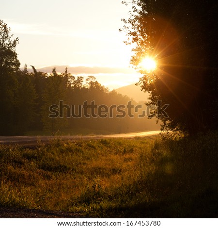 Sunrise or sunset on a deserted country road with the sun glowing brightly illuminating a row of conifers bordering the tar
