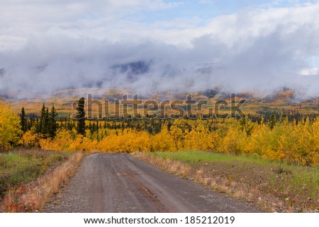 Empty dirt road through autumn gold fall colored boreal forest taiga leading into foggy mountain range, Yukon Territory, Canada