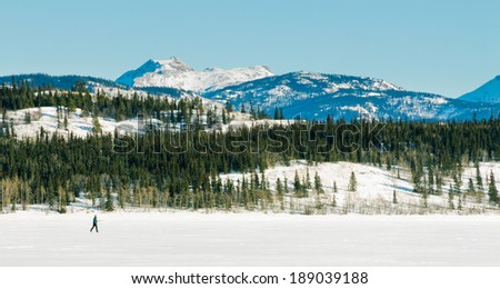 Active cross country skier using x-country ski on flat expanse of frozen Lake Laberge, Yukon Territory, Canada, exercising winter sports in beautiful winter landscape scenery