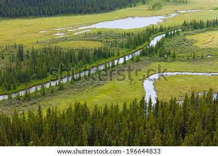Aerial view of small river flowing through green marshy riparian wetland landscape in Alberta foothills, Canada