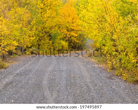 Empty dirt road through autumn gold fall colored boreal forest taiga leading into foggy mountain range, Yukon Territory, Canada
