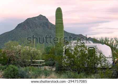 Small camping trailer parked on campsite in Sonoran Desert beside Saguaro Cactus