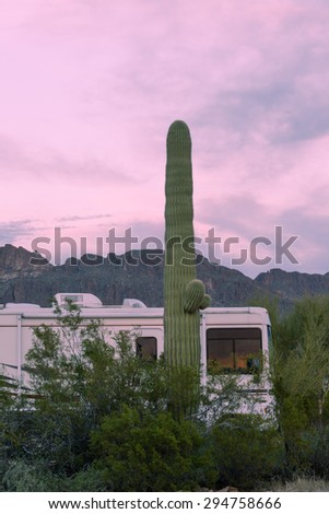 Motorhome RV parked on campsite in Sonoran Desert beside Saguaro Cactus