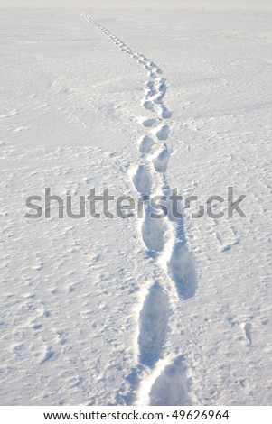 A person walking in deep snow left footprints on fluffy surface of freshly fallen sow