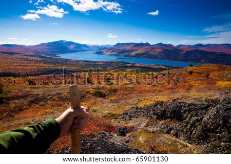 Arm, hand and wooden hiking stick hiker in tundra colored yellow and red by fall.