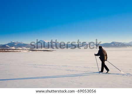 Person skiing on cross-country skis casts long shadow on untouched powder snow.