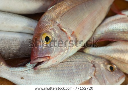 Fresh ocean fish ready to be cooked. Shallow DOF on head of top fish.