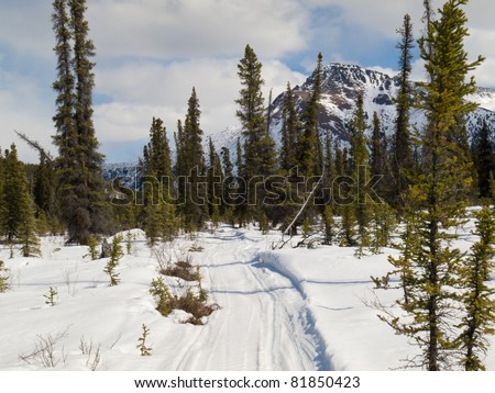 Well used winter trail in boreal forest (taiga) of Yukon Territory, Canada.