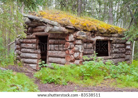 Ruin of old Yukon log cabin hidden in the boreal forest (taiga) of Yukon Territory, Canada