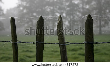 Fence close-up