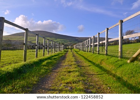 Straight Gravel Road between fenced fields leading toward a gate with a hill and blue sky in the Background