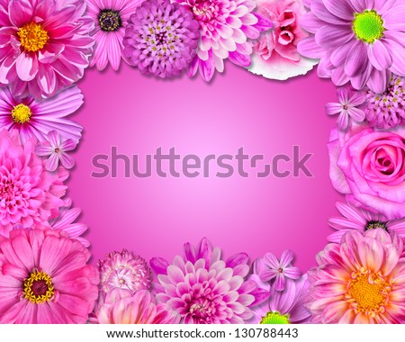 Flower Frame with Pink, Purple Flowers Isolated on Pink Background. Selection of Nine Periwinkle, Rose, CornFlower, Lily, Daisy, Chrysanthemum, Dahlia, Carnation, Primrose Flowers