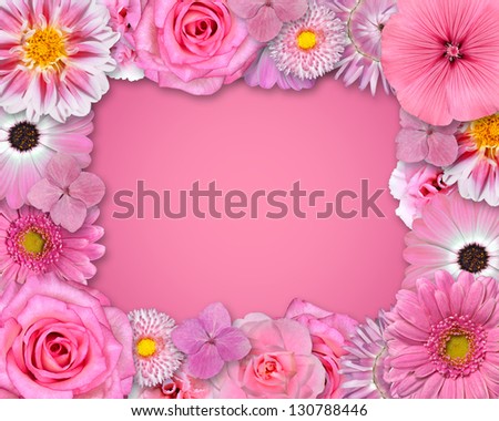 Flower Frame with Pink, Purple, Red Flowers Isolated on Pink Background. Selection of Nine Periwinkle, Rose, CornFlower, Lily, Daisy, Chrysanthemum, Dahlia, Carnation, Primrose Flowers