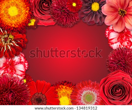 Selection of Various Red Flowers at Bottom Row Isolated on Red Background. Set of  Dahlia, Gerber, Daisy, Carnation, Rose, Zinnia Flowers