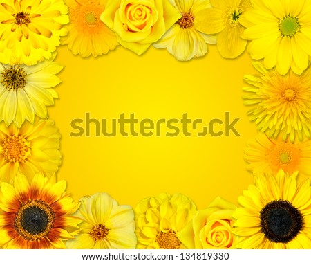 Flower Frame with Selection of Yellow Flowers with Isolated on Yellow Background. Set of Daisy, Gerber, Marigold, Osteospermum, Chrysanthemum, Strawflower, Cornflower, Dahlia Flowers