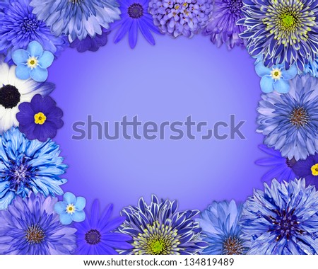Flower Frame with Blue, Purple Flowers Isolated on Blue Background. Daisy, Chrysanthemum, Cornflower, Dahlia, Iberis, Primrose