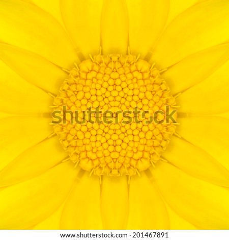 Yellow Mandala Concentric Daisy Flower Kaleidoscope Center. Kaleidoscopic Design Pattern