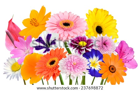 Flower Bouquet  Collection of Various Colorful Flowers and Wildflowers Isolated on White Background. Vibrant Red, Blue, Pink, Purple, Yellow White, and Orange Colors. Bunch of  wildflowers