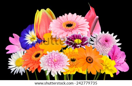 Flower Bouquet  Collection of Various Colorful Flowers and Wildflowers Isolated on Black Background. Vibrant Red, Blue, Pink, Purple, Yellow White, and Orange Colors. Bunch of wildflowers
