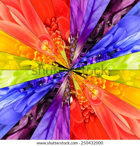 Rainbow Flower Center Symmetric Collage Made from Collection of Various Multi Colored Wildflowers. Parts are Divided into Symmetric pieces.