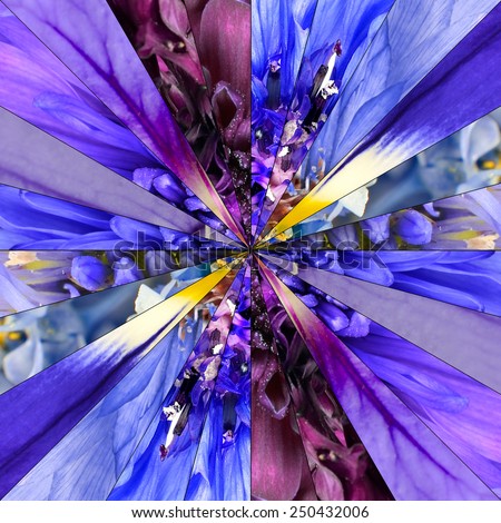 Blue Flower Center Symmetric Collage Made of Collection of Various Wildflowers. Pieces are Divided into Symmetric pieces.