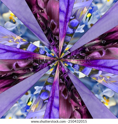 Purple Flower Center Symmetric Collage Made of Collection of Various Wildflowers. Pieces are Divided into Symmetric pieces.