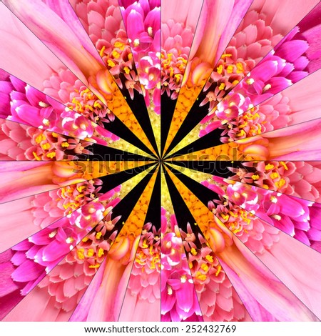 Pink Flower Center Symmetric Collage Made of Collection of Various Wildflowers. Pieces are Seamlessly Divided into 24 Symmetric pieces.